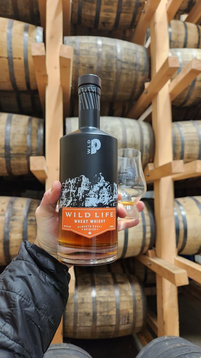 BanffWhiskyExperience tweet media