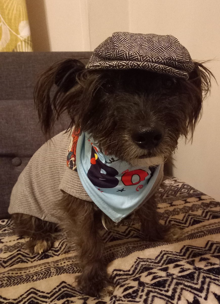 Rory🐻 Missing all pals OTRB 🌈😢 tweet media