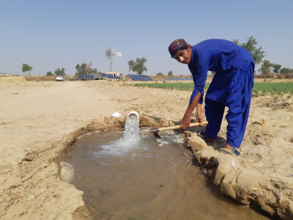 zulfiqarkunbhar's tweet photo. Pakistan’s malnourished #Thar Desert initiates first-ever green cultivation to obtain food security.
Farmer Ali Ahmed Rahimoon cultivates wheat and other grains setting successful food reliance farming example in #climatechange hit desert.
- My latest
https://t.co/Yw3JTAGnA0 https://t.co/RSHkyHY806