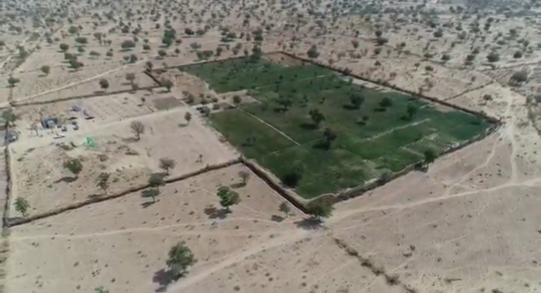 zulfiqarkunbhar's tweet photo. Pakistan’s malnourished #Thar Desert initiates first-ever green cultivation to obtain food security.
Farmer Ali Ahmed Rahimoon cultivates wheat and other grains setting successful food reliance farming example in #climatechange hit desert.
- My latest
https://t.co/Yw3JTAGnA0 https://t.co/RSHkyHY806