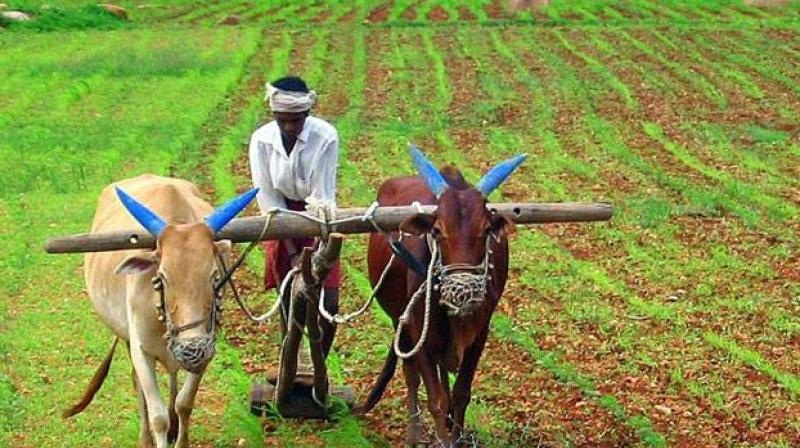 મહારાષ્ટ્રમાં નાણાકીય તંગીને કારણે પ્રતિદિન આઠ ખેડૂતોનાં મોત...bit.ly/3ZTF7Zy #MaharashtraPolitics #farmers #Suicides #FinancialDistress #Marathwada #Beed #Chitralekha