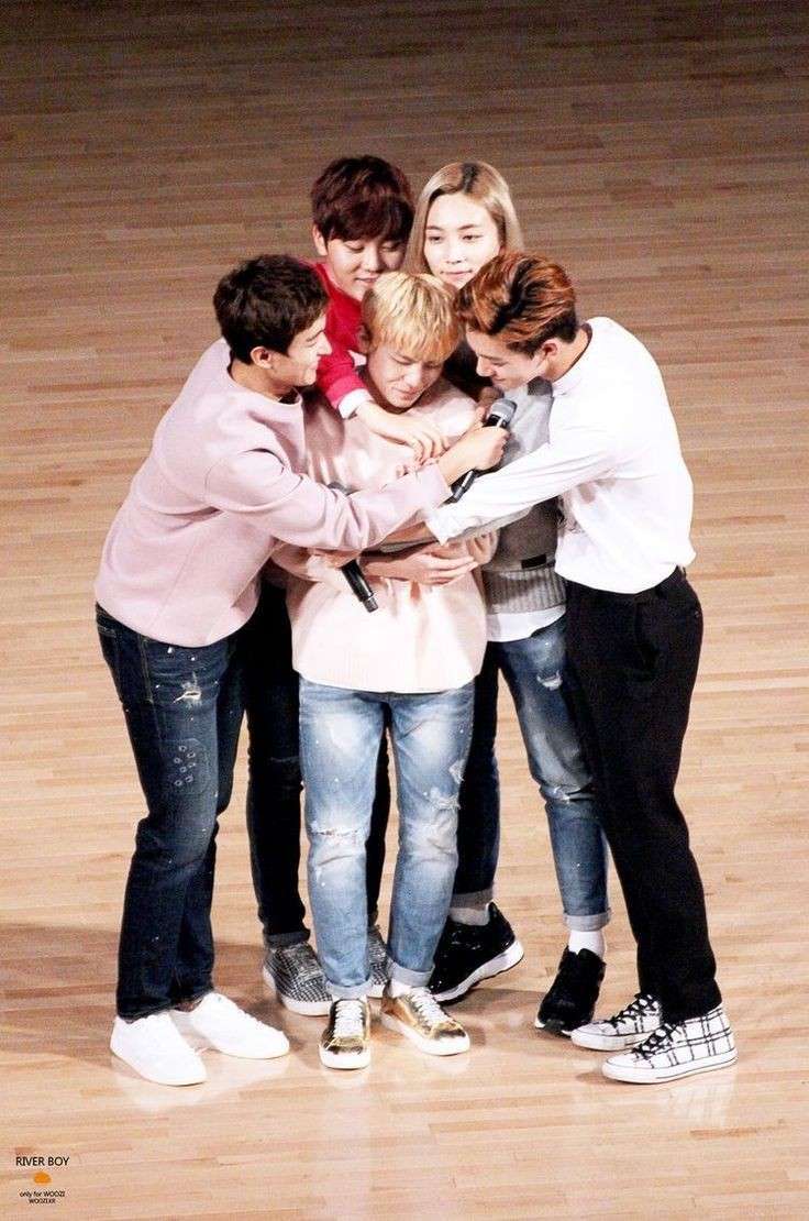 woozi cuddlepile