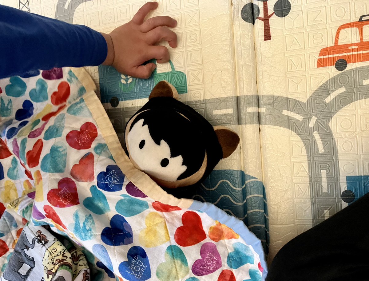 Kiddos decided Astro needed a nap post- #TDX23 😂 #wheresastro