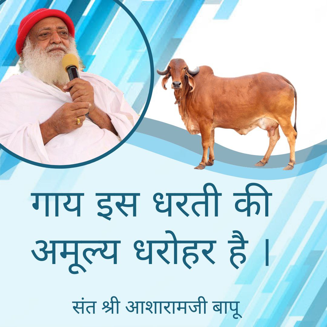 Sant Shri Asharamji Bapu बताते हैं कि गाय ही एक ऐसा प्राणी है जो सूर्य के किरण लेती है।
इसके दूध में स्वर्णक्षार पाए जाते हैं,जो एंटीबायोटिक का काम करते हैं।
Gau Sewa से हमारी आर्थिक,भौतिक और आध्यात्मिक उन्नति होती है ।
#गौहत्या_पर_प्रतिबंध जरूरी है
Cow Should Be National Animal