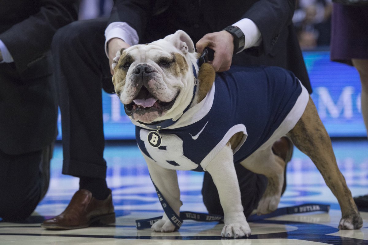 ButlerBlue3 tweet picture