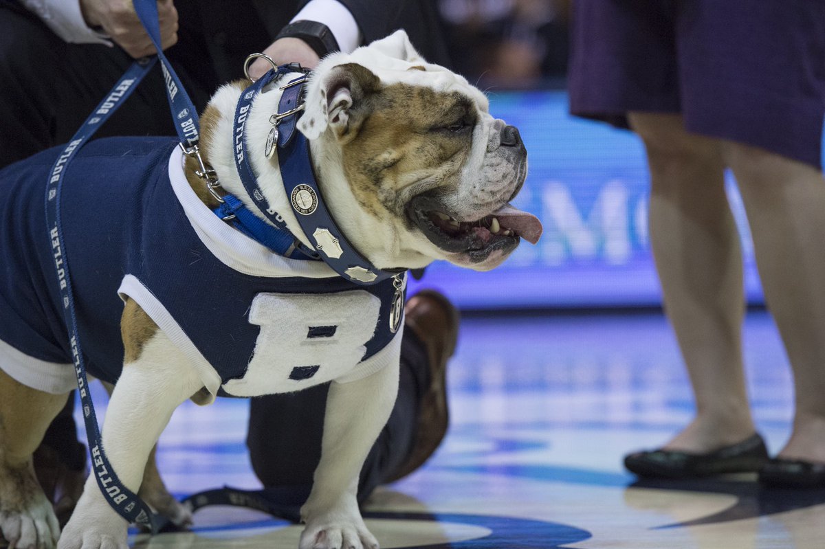 Butler Blue III tweet media