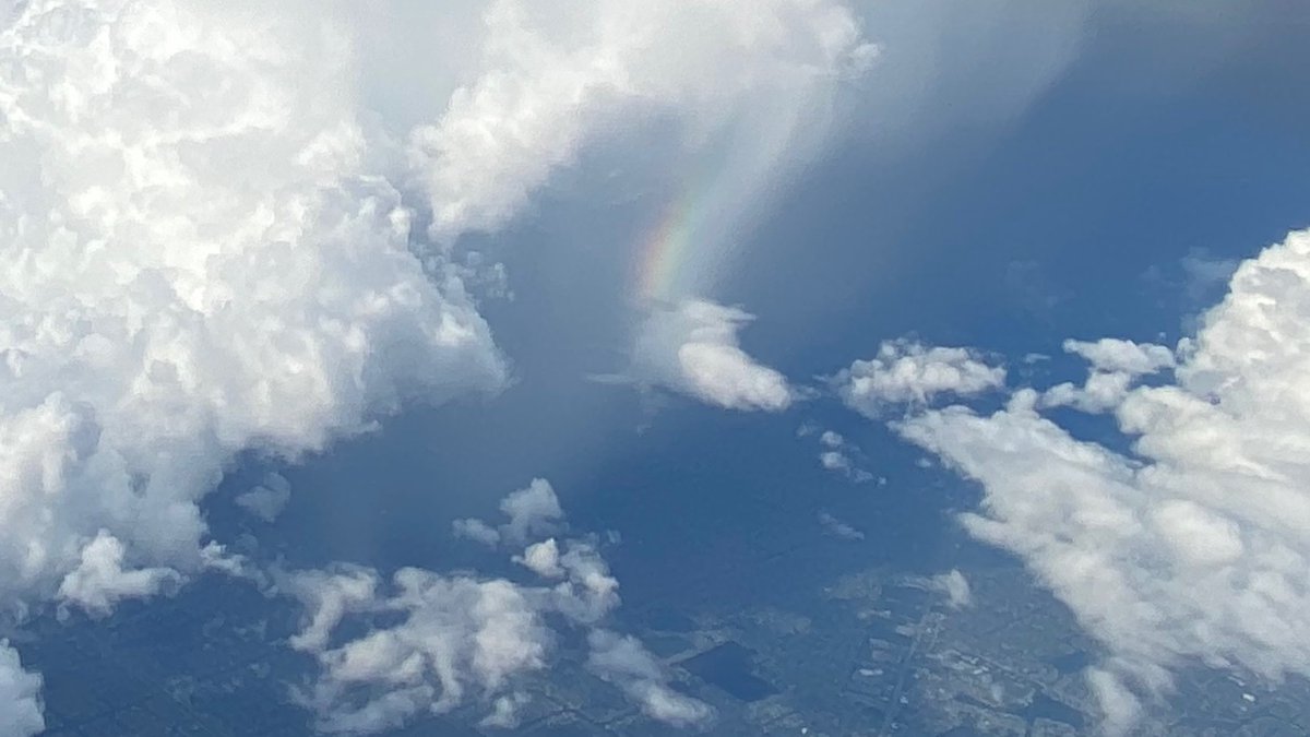 vanesavirtuous's tweet image. 🙏🏻🕊️

#flashbackfriday #Amen #Ibelieveit #freedom #deliverace