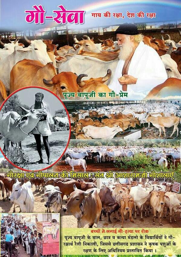 <a href="/YuwaSewaSangh/">Yuwa Sewa Sangh Ashram Official</a> <a href="/GauPrem/">Cow Love ࿗</a> <a href="/dhyanfoundation/">Dhyan Foundation</a> <a href="/ShriRamTeerth/">Shri Ram Janmbhoomi Teerth Kshetra</a> <a href="/MercyForAnimals/">Mercy For Animals</a> <a href="/wegopals/">GoPals - Desi Gou Awareness Mission</a> <a href="/Ashwinsampathk/">Ashwin Sampatkumaran</a> <a href="/raghavan245/">Veeraraghavan Sampath</a> <a href="/ravoria/">Govats Radhe Ravoria</a> <a href="/navneetravirana/">Navnit Ravi Rana</a> Sant Shri Asharamji Bapu - Gau Sewa से हमारे पाप नष्ट होते हैं,  भूत प्रेत बाधा नहीं होती है,वातावरण सात्विक होता है,
 इलाहाबाद कोर्ट ने भी गौ महत्व को जानकर 
Cow Should Be National Animal   का फैसला दिया है।
#गौहत्या_पर_प्रतिबंध