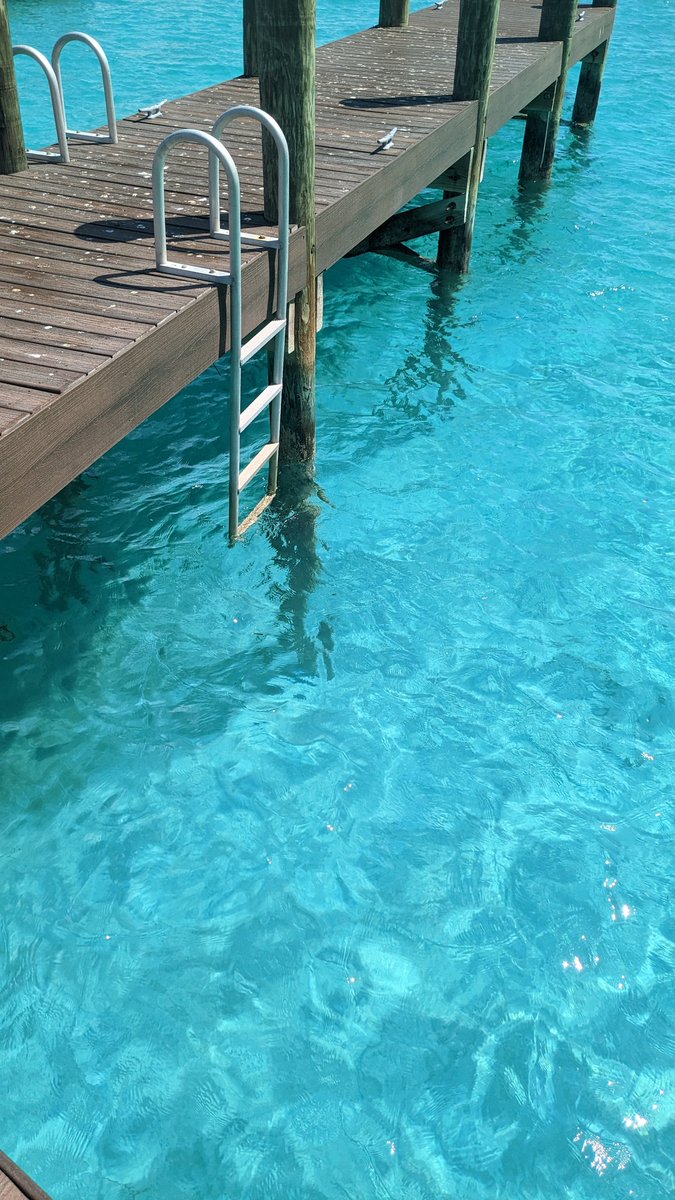 reventon0001's tweet photo. カリブのバハマにきた。人口40万の小さい国。海はめちゃくちゃ綺麗。

残念なのは物価。街やレストランのレベルはアジアの新興国に劣るくらいやのに物価はアメリカ並み😂 https://t.co/Xrcfhurb7K