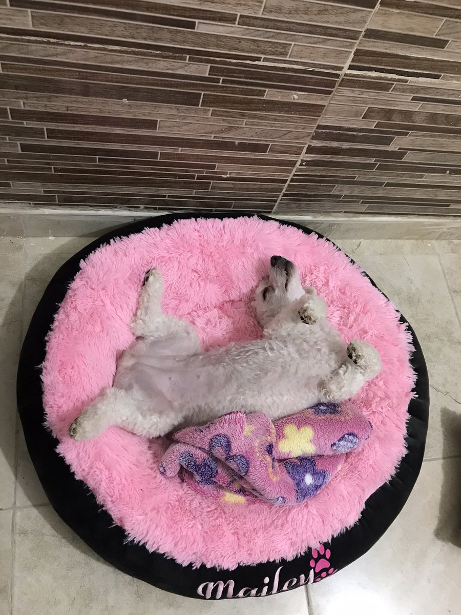 Sara Rueda✨ tweet media