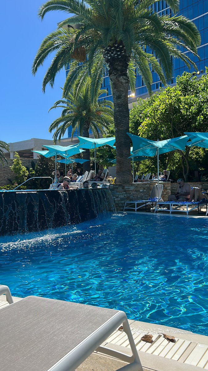 Found my spot for the day 😎