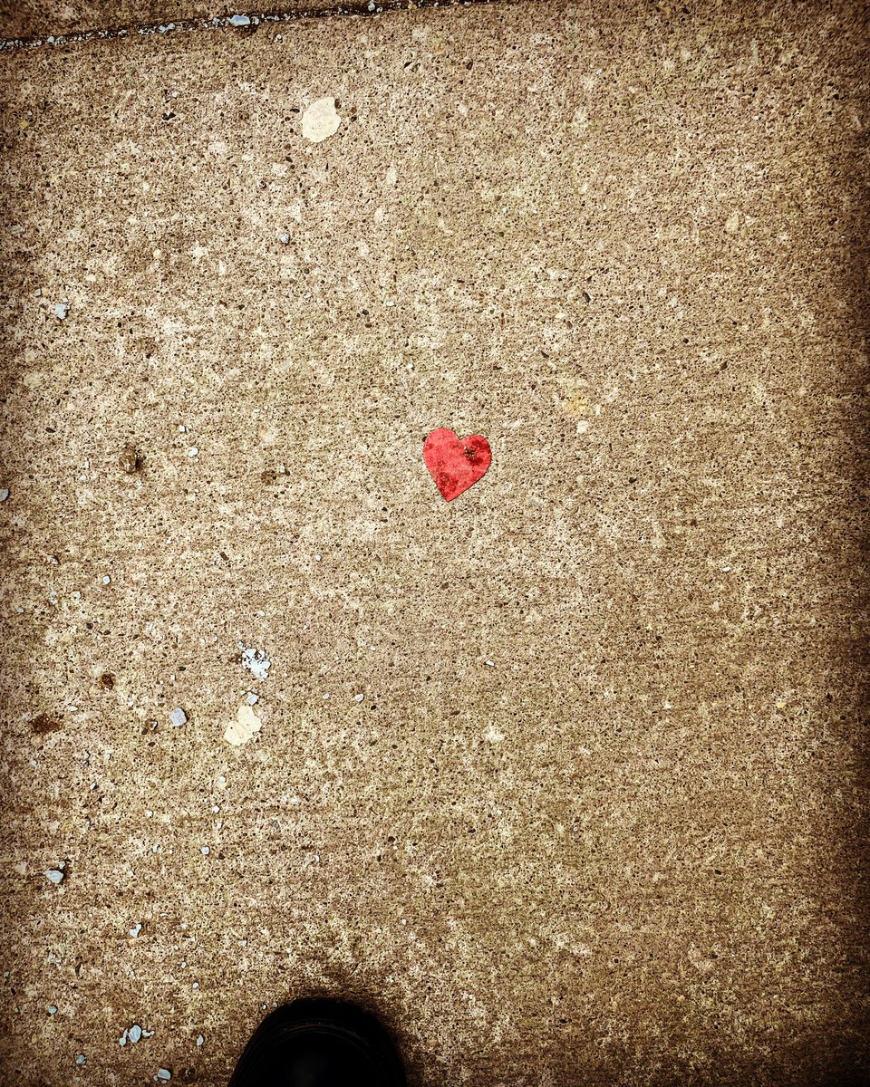 MarinaPiccioni's tweet photo. A photo a day for 2023
69 - 365
#heartsareeverywhere #iseehearts #hearts #heartshaped #love #heart #loveiseverywhere #heartsfindme #heartseverywhere #heartsofinstagram #heartshape #iseeheartseverywhere #ifindhearts #heartsinnature #everydayhearts #randomhearts #foundheart https://t.co/JaCrqunr5M
