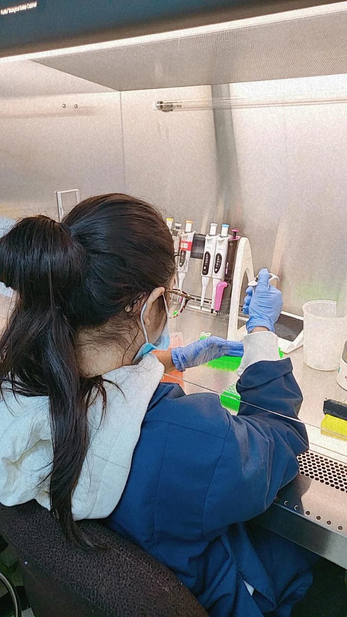 yalianachichaco's tweet image. Great job this week!
Doing #DNA #barcoding of Shark’s Tissue collected in Panama🦈.
Preparing to do my first genomic library 🧬