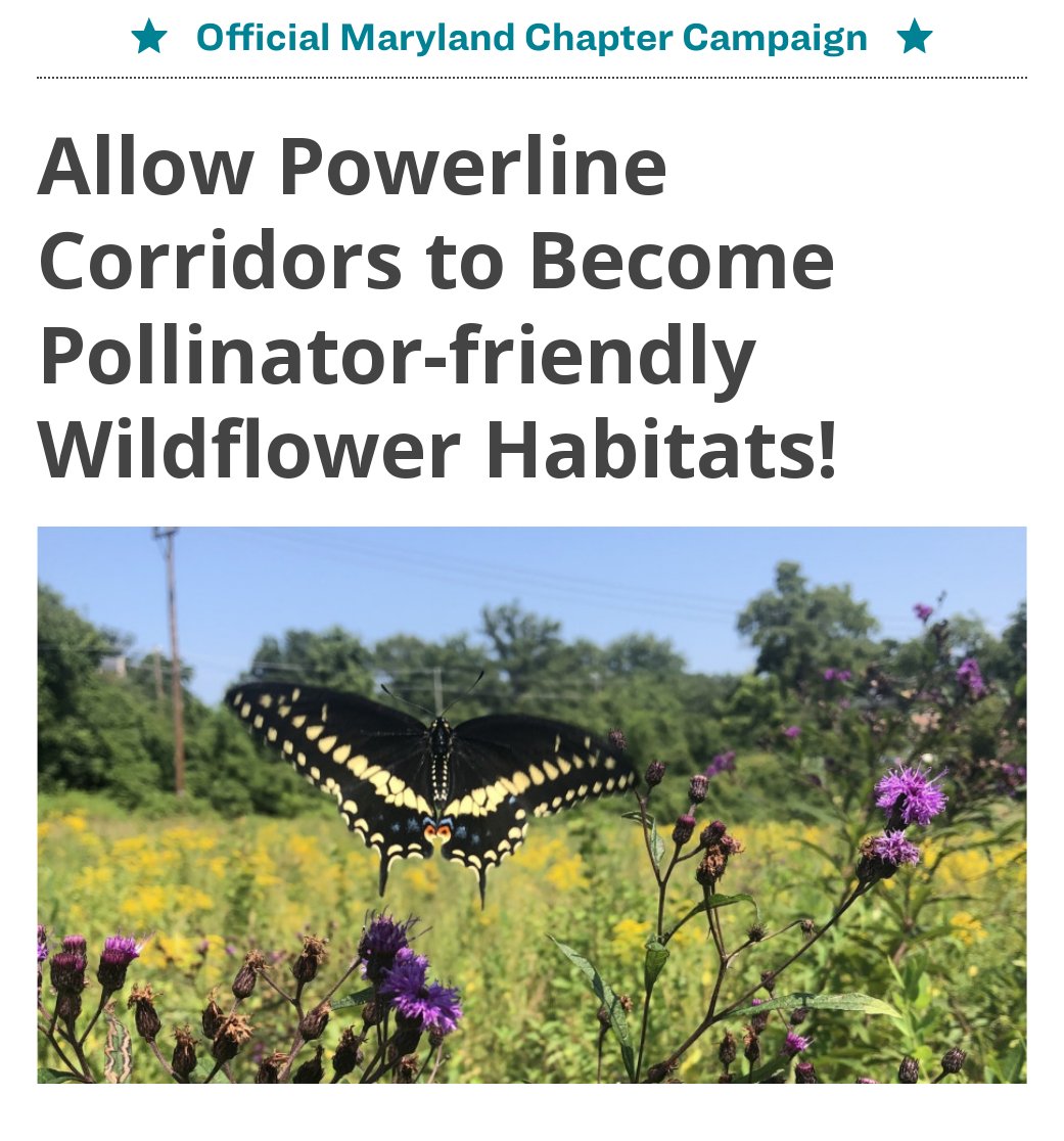 Big Thank You to sponsors Sen. Augustine &amp; EEE Chair Feldman + Del. Charkoudian &amp; ECM chair Wilson for passing HB62/SB62 out of both Committees almost simultaneously this afternoon! So excited to see this bill move ⏩ to encourage 2000 miles of 🐝🦋 habitat! #ProtectNaturalPlaces
