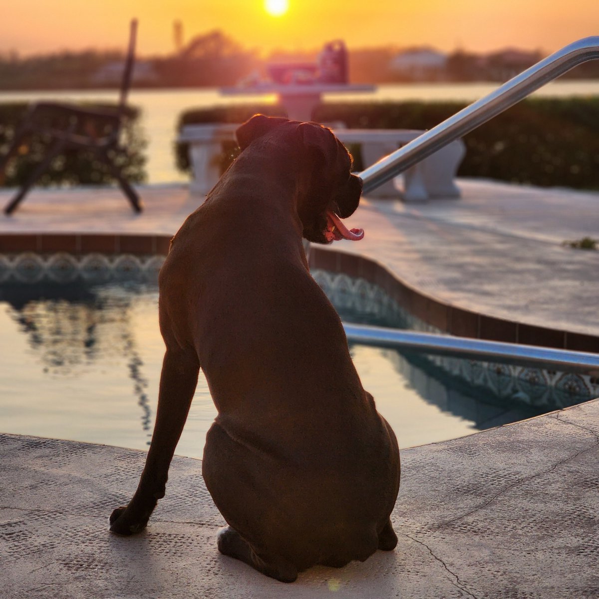 Enjoy a lovely sunset wherever you may be my friends