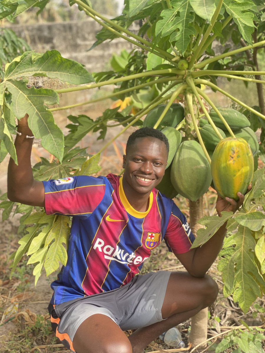 Omar Sambou, Ph.D, CHST (@MalmoSambou) / Posts / X