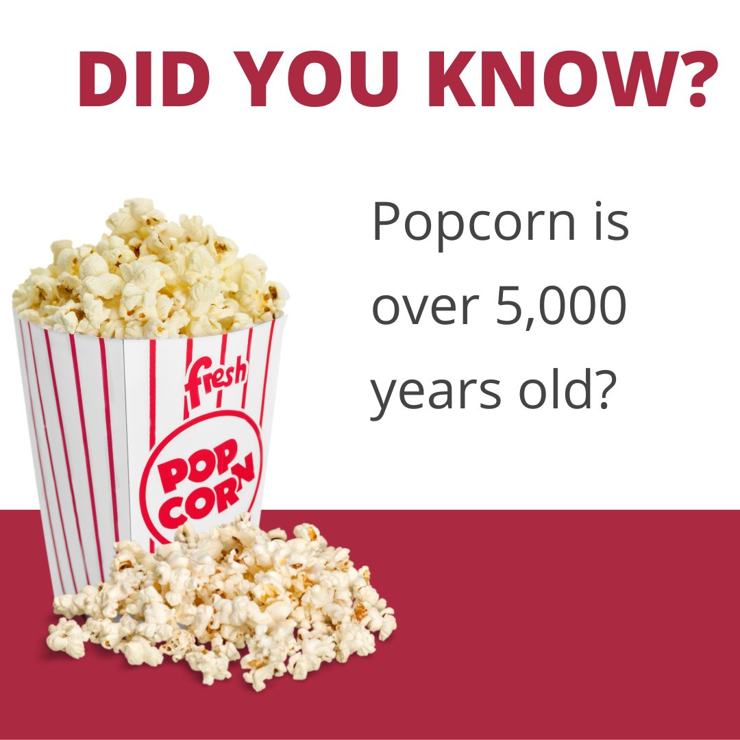MBGalaxy_'s tweet photo. Its #FunFactFriday #DidYouKnow
#TGIF #FFF #Friday #FridayVibes #popcorn #snacks #facts #funfacts #DYK #Fyi #jumping #jump #bounce #bouncing #bouncehouse #rentals #rental #party #va #dmv #moonbouncegalaxy #moonbounce #moonbouncerentals #mbgalaxy #DC #MD #moonbouncedmv https://t.co/UqcFAAcTZD