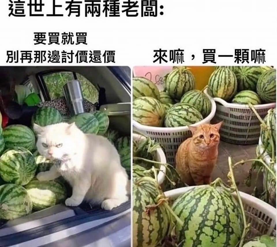 MissLalaRain's tweet photo. 🤣🤣🤣 https://t.co/pg778lLTp3