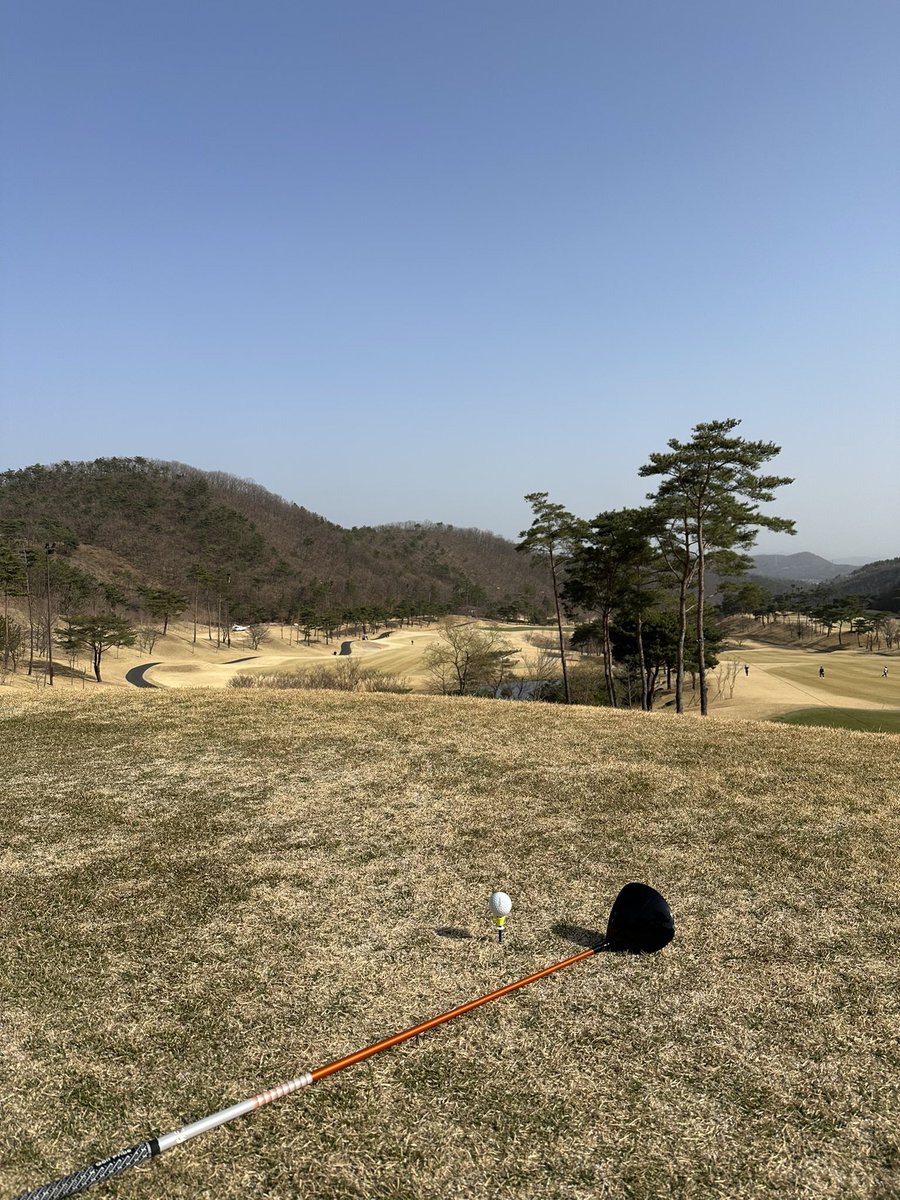 #울산
#섹트
#19홀
돌고싶다요 지금만나요 🫣