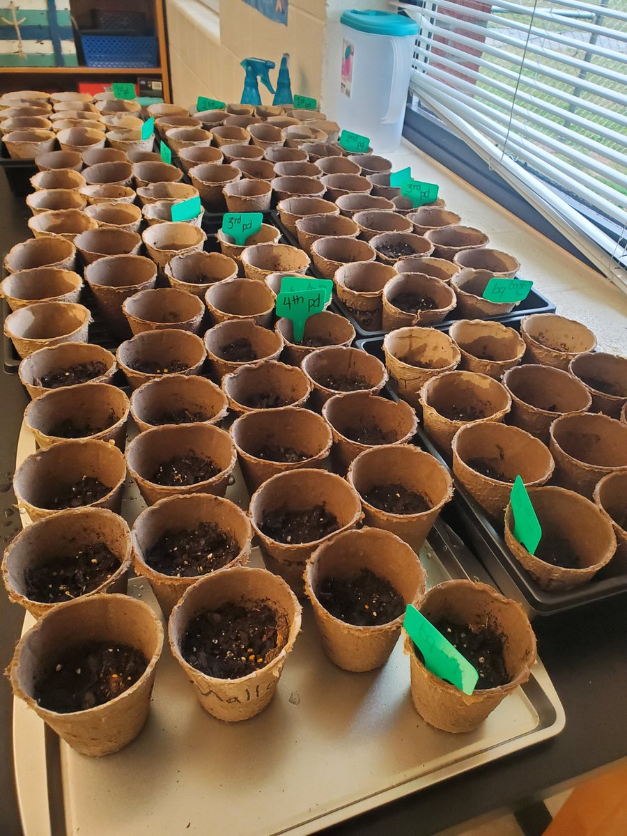 Jami Register tweet media