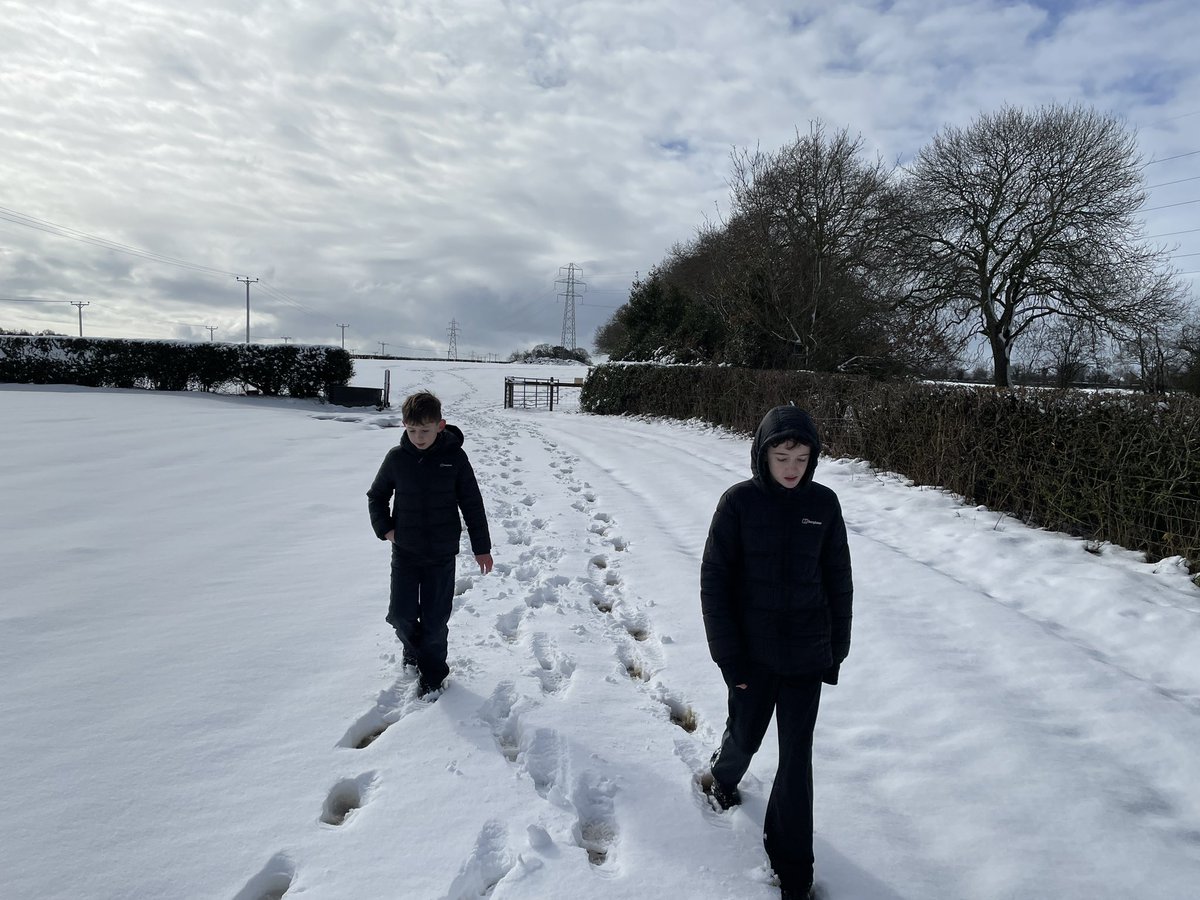nigeldeeks's tweet photo. @HawardenVillage 🎶🎵It’s beginning to feel a lot like Christmas! 🎵🎶⛄️Beautiful day for a circular hike around the area! 🤗 https://t.co/Qknzsj0Skn