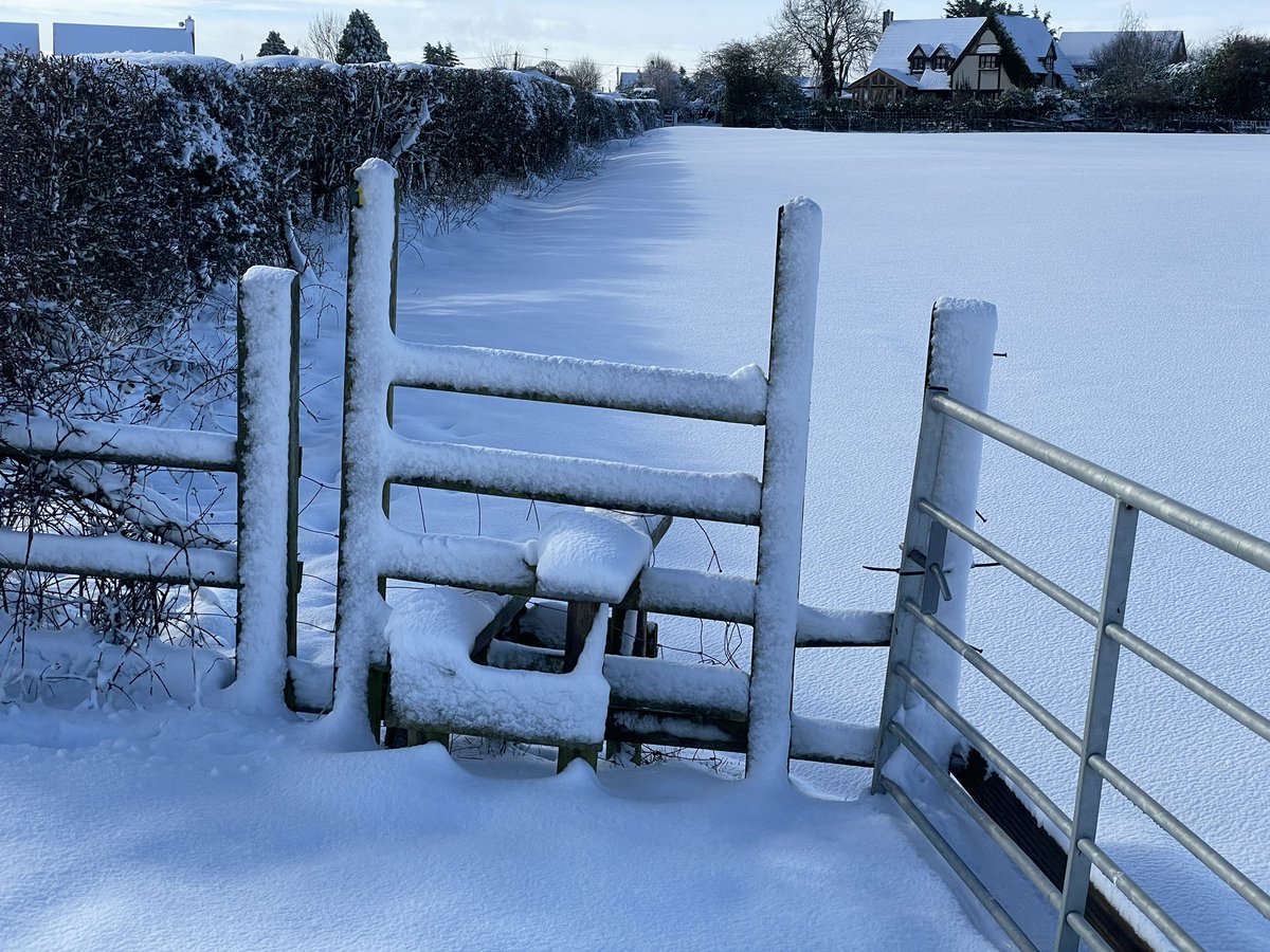 nigeldeeks's tweet photo. @HawardenVillage 🎶🎵It’s beginning to feel a lot like Christmas! 🎵🎶⛄️Beautiful day for a circular hike around the area! 🤗 https://t.co/Qknzsj0Skn