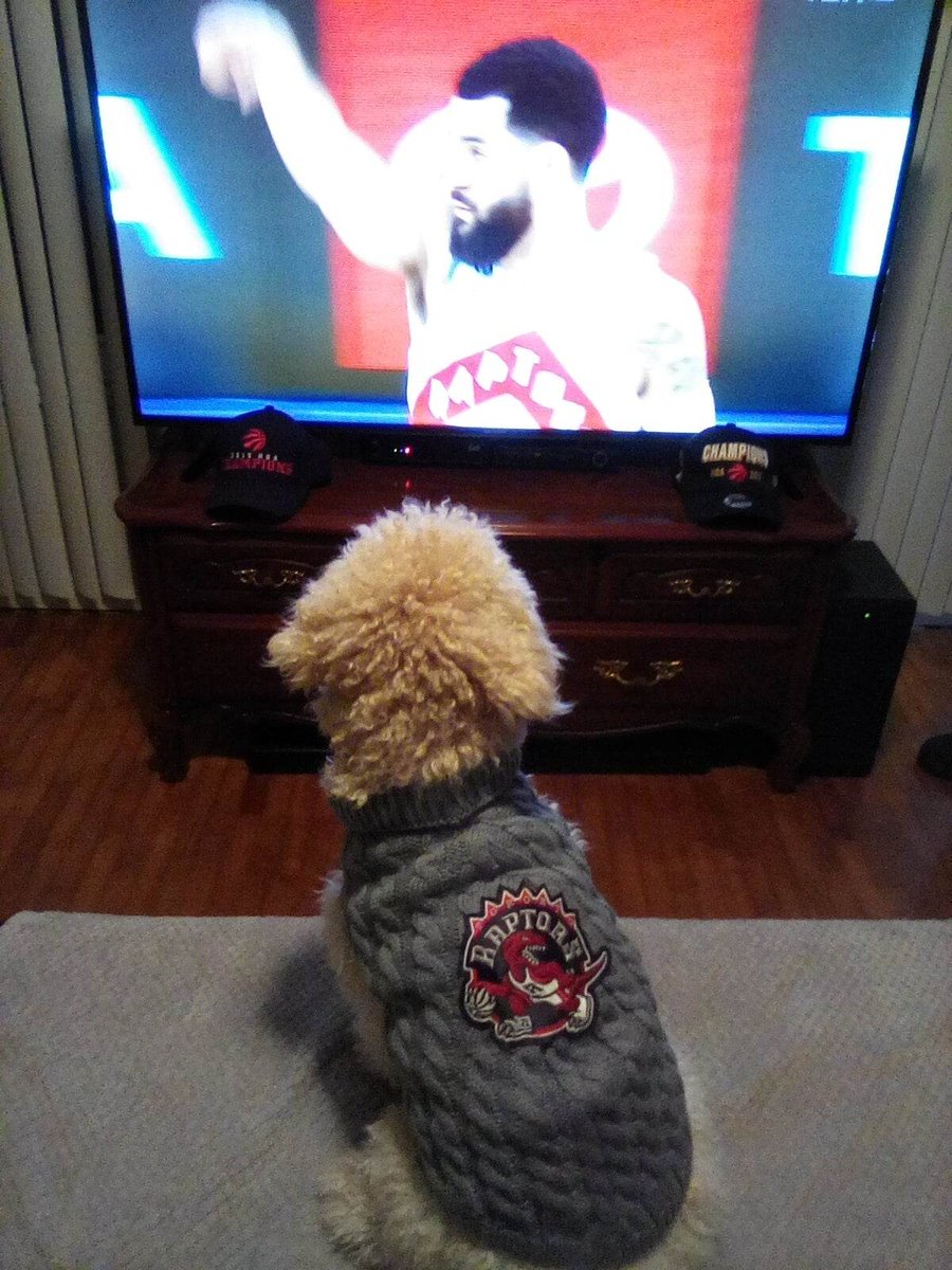 Zevon loves Fred # TangerineFan Angle@TangerineHoops