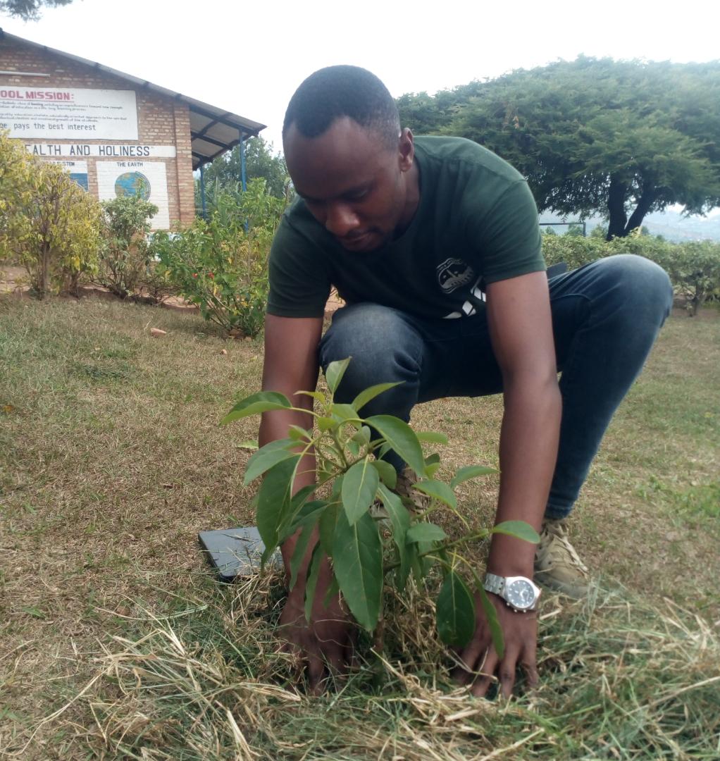 NgaramaSectorR's tweet photo. Umurenge @NgaramaSectorR k'umurenge,abakozi b'utugari,amashuri twafashe iminota 30 mbere y'akazi dukora umuganda wo kuhira ibiti by'imbuto mu muhigo wa #GatsiboIgwijeImbuto twameneye/tunabagara ibiti @CouncilGatsibo @GatsiboDistrict @RwandaEast https://t.co/3Y6Sh9Jvkt