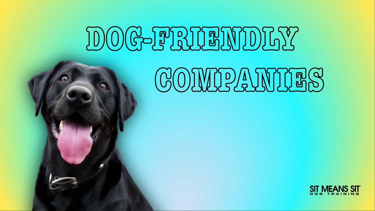smsswlv's tweet photo. Check Out How Dog-Friendly These Companies Are | https://t.co/2xadbhoz1P https://t.co/H1eZY5Noyu