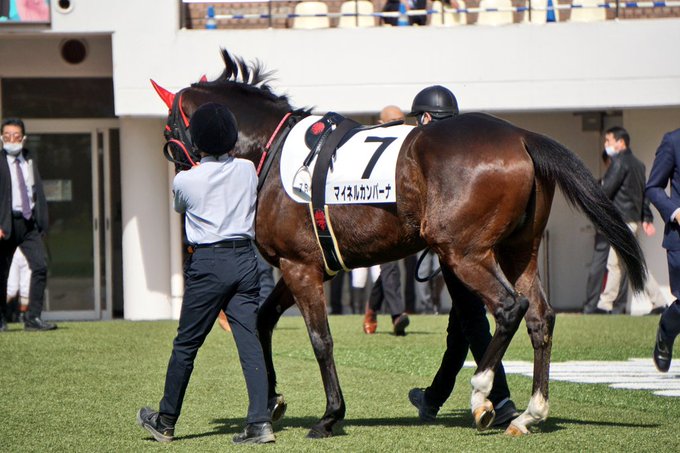 ゴールドシップ ポスター 競馬 B1