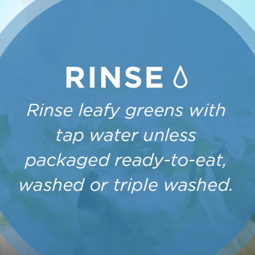 🥬 Remember these food safety tips when buying leafy greens:
• Separate leafy greens from meat
• Check they're refrigerated at the store
• Chill within two hours
• Clean your hands before &amp; after
• Rinse, unless packaging states otherwise
• Throw away when in doubt