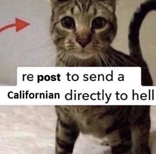 ShitpostGateway (@shitpostgate) on Twitter photo 