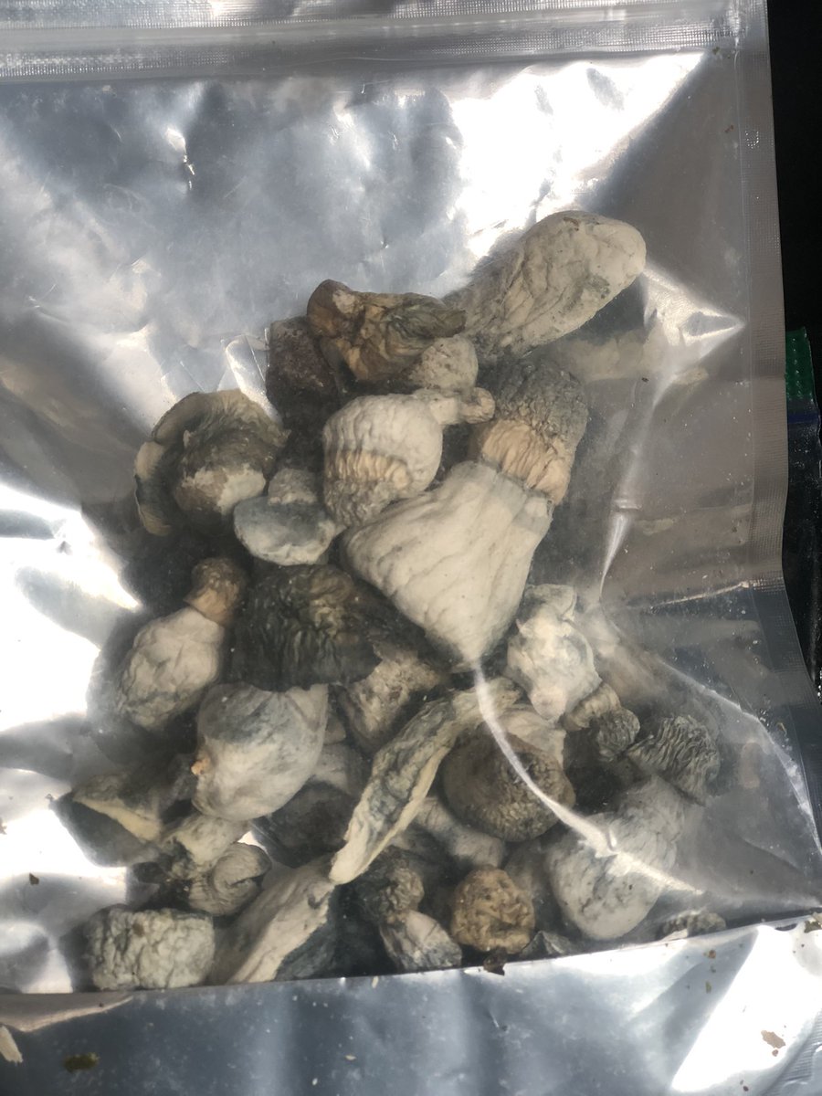 Jay Kush (@jaykush4500) on Twitter photo 