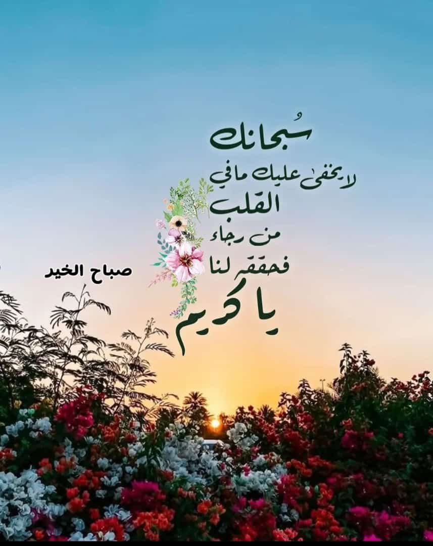 RaAljyb's tweet photo. @lsydy19 https://t.co/f8U4g6cwmy