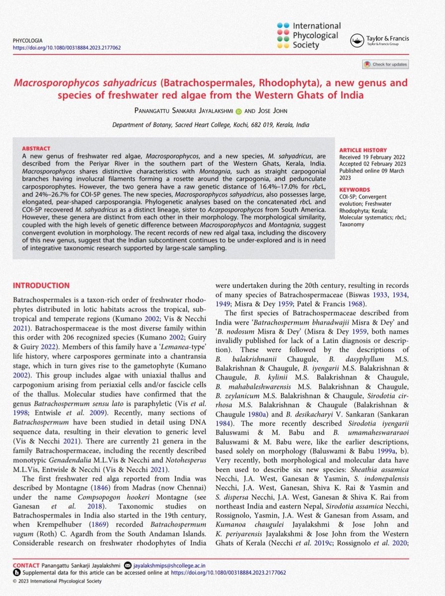 Introducing a new member to the redalgae family!! 😊😊Excited to announce the discovery of a new genus of red algae from #westernghats 
#phycologyfriday