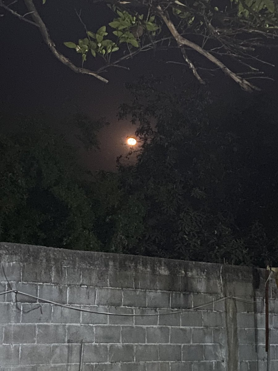 LuTamez's tweet photo. Hermosa luna 🌝 https://t.co/txKKRoAuhG