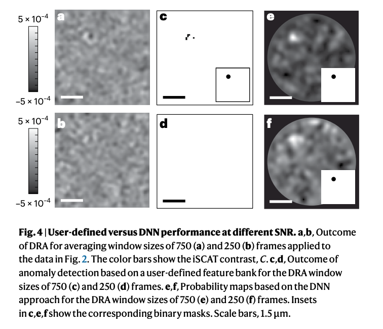 BioDecoded's tweet photo. Self-supervised machine learning pushes the sensitivity limit in label-free detection of single proteins below 10 kDa | Nature Methods
https://t.co/4Z66HCSyu1

#Bioinformatics https://t.co/2v15Ij6L1v
