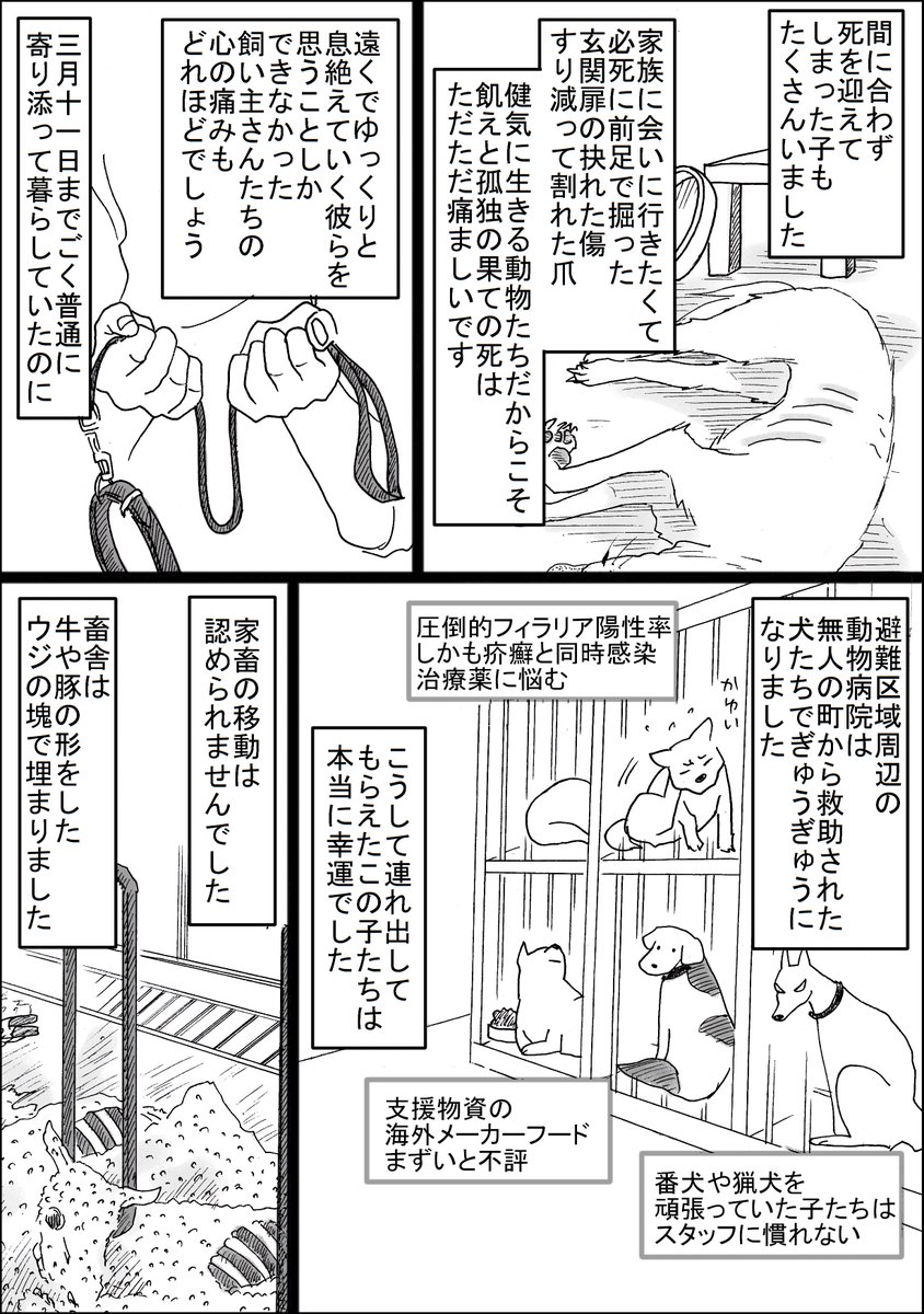 再掲です。
動物を飼っている方へ。

(震災時福島にいた方にはしんどい内容かと思います。ご注意ください) 