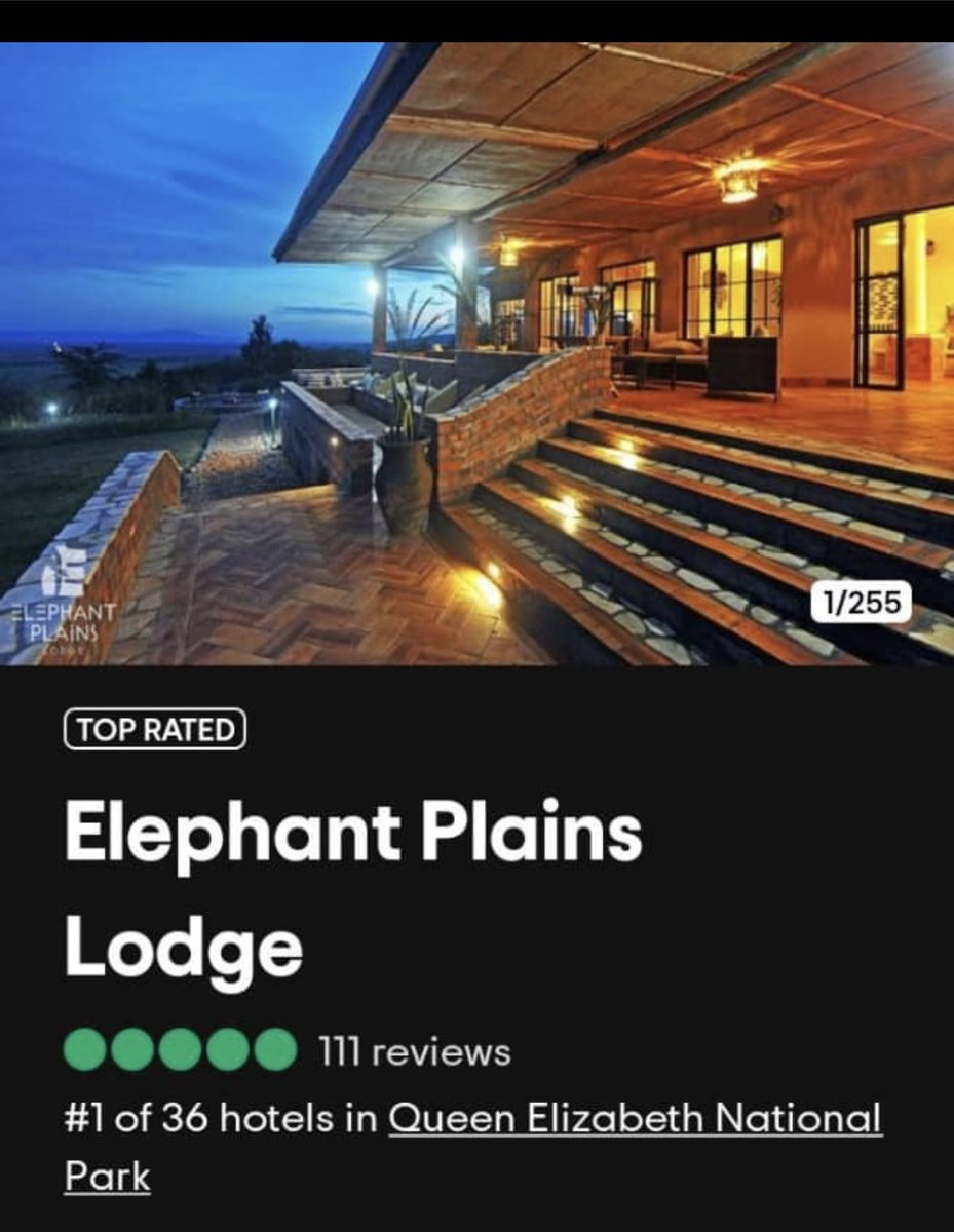 2 of the ⁦@Ugandalodgesltd⁩ (my place of work) are topping in both Queen Elizabeth national park and Kibale national park on tripadvisor. 

Ofcourse, its team work and am only the team leader. The lodge teams and kampala support team! 

We thank God!