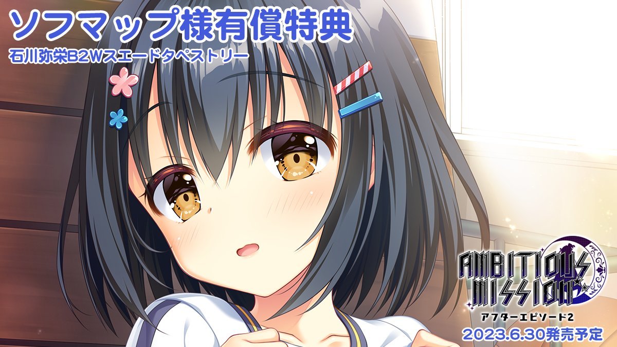 AMBITIOUS MISSION ソフマップ タペストリー 2本セット ラスト