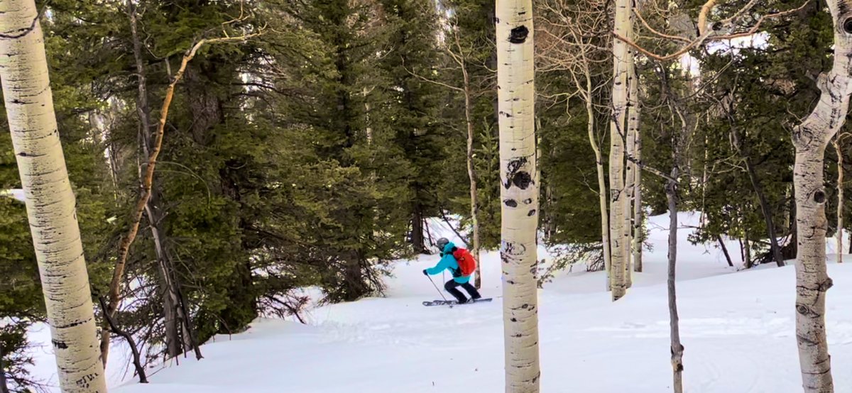 Carles Perera tweet media