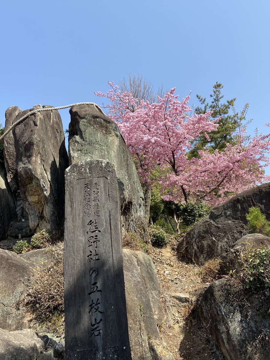 xjr400's tweet photo. 岩崎山の五枚岩の桜 https://t.co/k9DqqocYUw