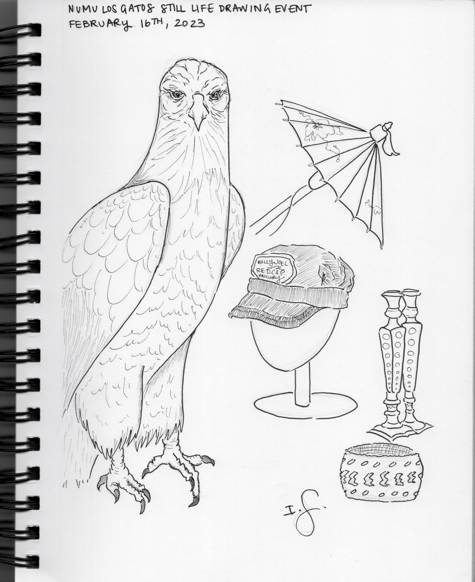 sketches from a still life drawing event at my local art museum 🦅🎨 <a href="/NUMULosGatos/">New Museum Los Gatos</a>