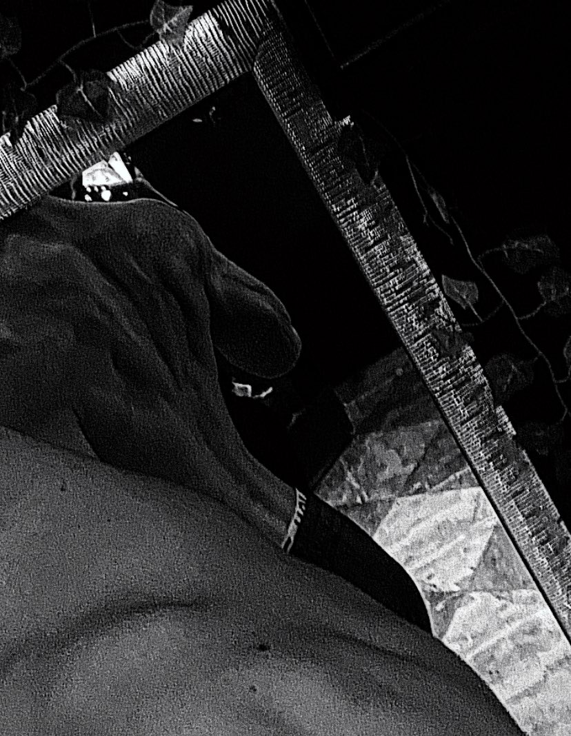incubusinc's tweet photo. Your 𝕱𝖆𝖓𝖙𝖆𝖘𝖞 made 𝙁𝙡𝙚𝙨𝙝...
🔥 35, He/Him, MDNI, Pansexual
🔥 Soft/hard kinks + dark content
🔥 NSFW/RP account
🔥 Open for experimentation
🔥 Occasional VA content
🔥 DMs open, slow replies
🔥 #nsfwtwt #lewdrp #nsfwrp
[♥️+🔁 to be moots] https://t.co/pi49xYnsv8
