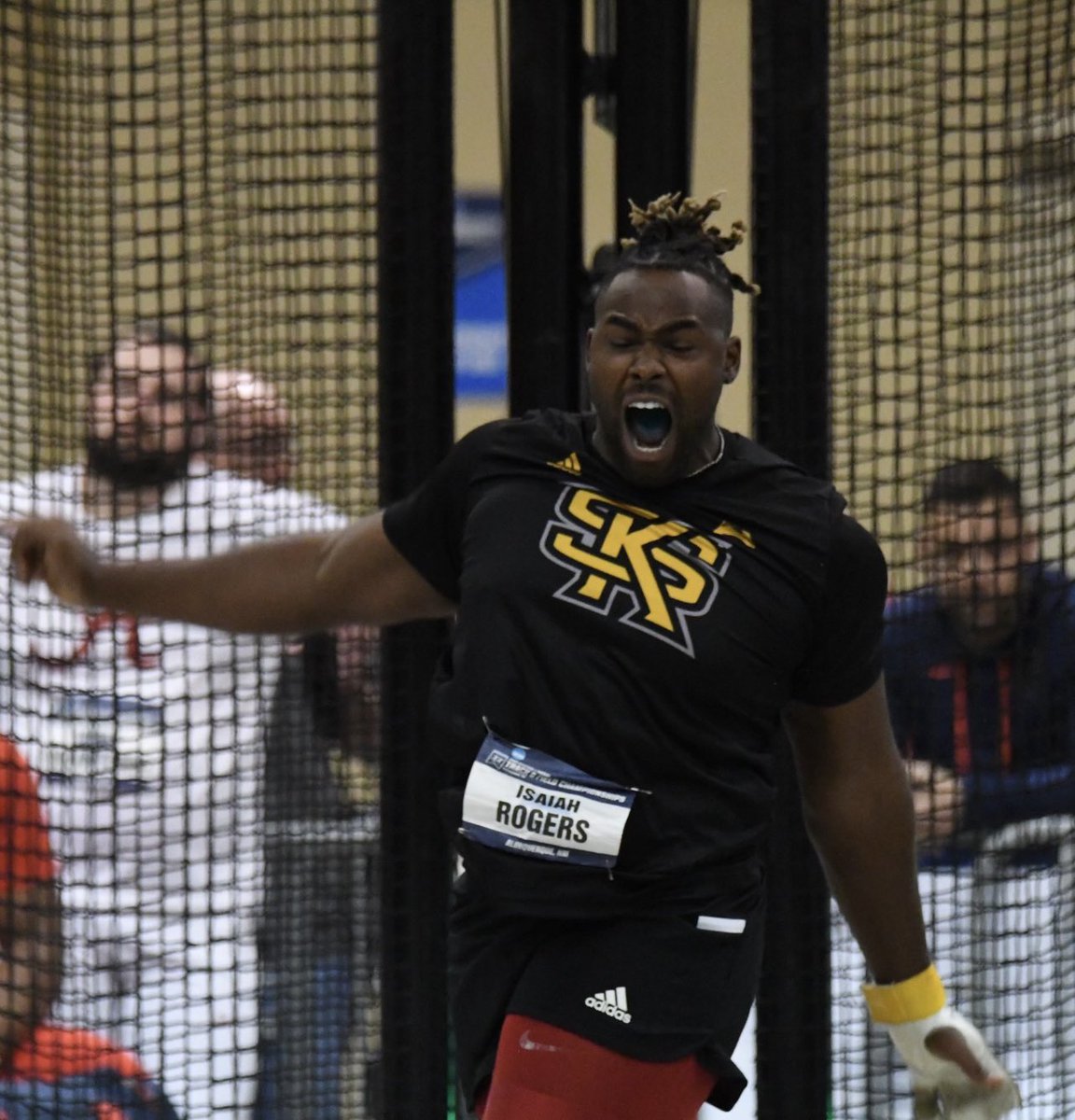 Lisa Rogers tweet media