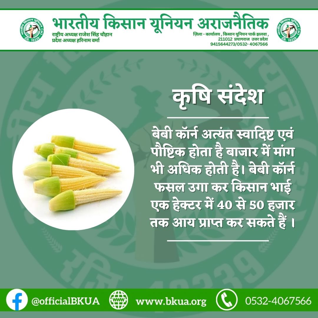 vishaldwivedi_'s tweet image. कृषि संदेश - #farming #FarmingGuide #farmers #agriculture #kisan #kisanprotest #uttarpradesh #news  #15_मार्च_मेरठ_चलो_किसान_महापंचायत @OfficialBKUA @Harinambkua  @DigamberSingh_ @RajeshBKUA @mangayramtyagi @Dmalikbku @myogiadityanath @AgriGoI