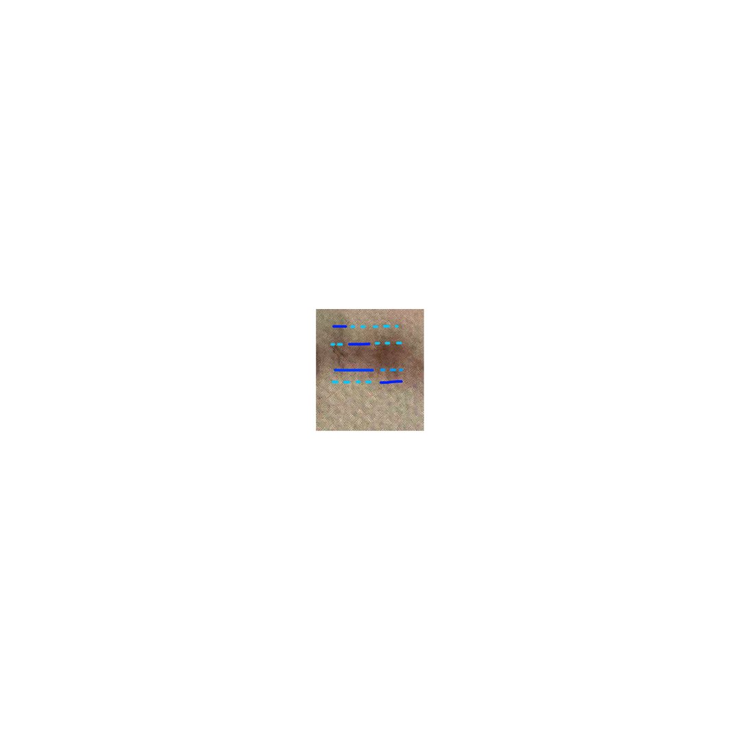 ImAlsoRan's tweet photo. @DylanMcD8 Keep in mind, as with anything blurry or pixelated, it's a lot easier to read when from far away. You may want to view these smaller sizes to see it a bit easier. https://t.co/ivhR80uJBm