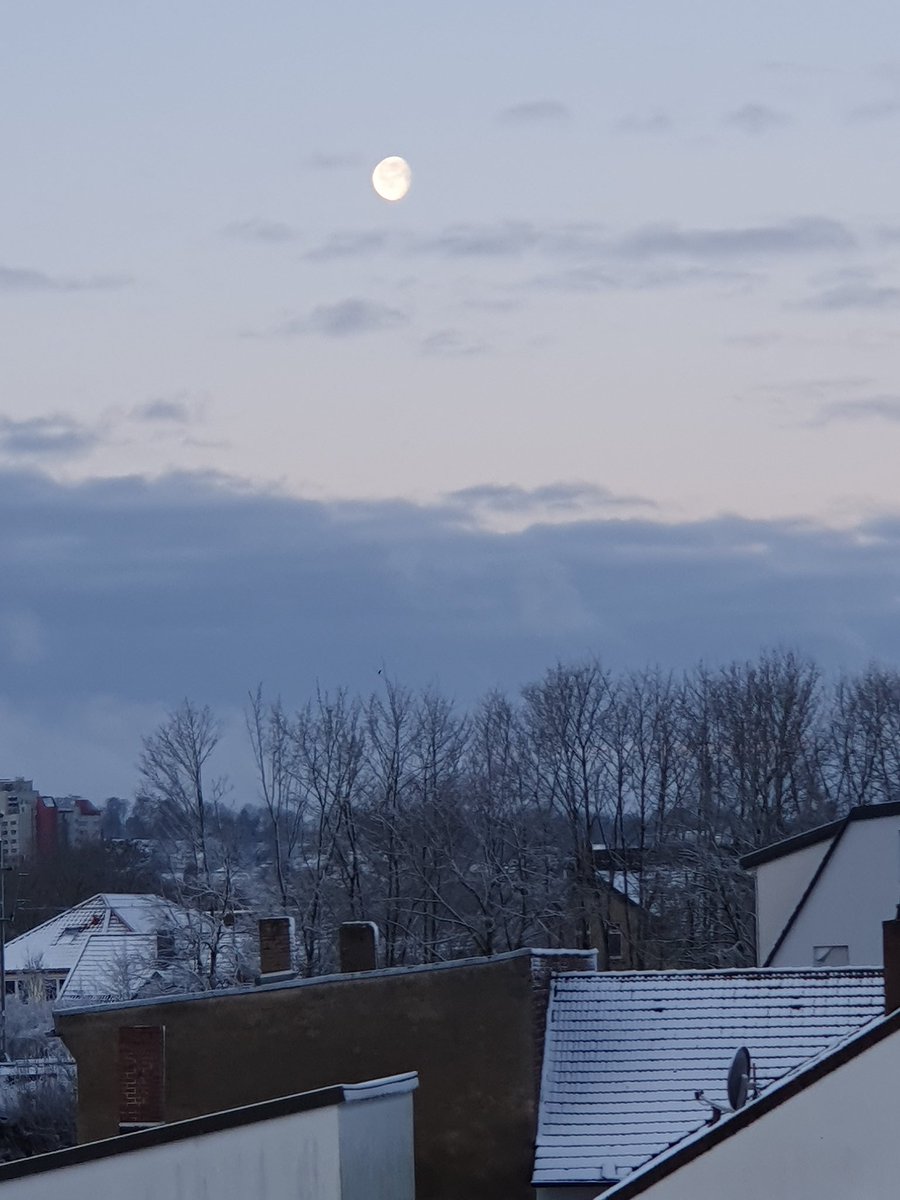 كم تشبهني في وحدتك
تعال اقاسمك فنجان قهوتي
واحادثك عن خيبتي
واستودعك الباقي من أمنياتي
اعطها لمن تشاء...
أيها العاتي على استيحاء
المتكور في برج السماء
من أخذ عرشك... ونفاك؟