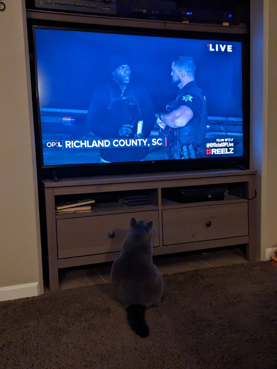 ginagns's tweet photo. @OfficialOPLive my cat loves this show almost as much as I do. #OnPatrolLive https://t.co/9gYKGnDpSJ