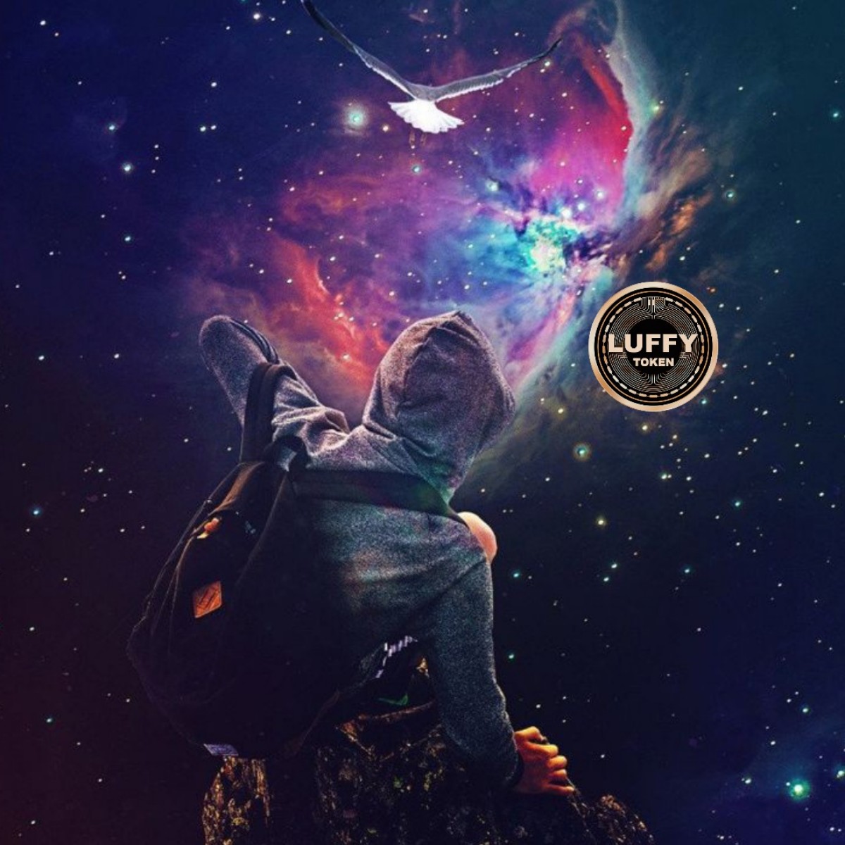 okik888's tweet photo. @VictorLeeJW @ohaiom #LuffyToken 5x soon $LUFFY #LuffySwap #crypto #LETSGOKU https://t.co/ncE5vxFIPQ
